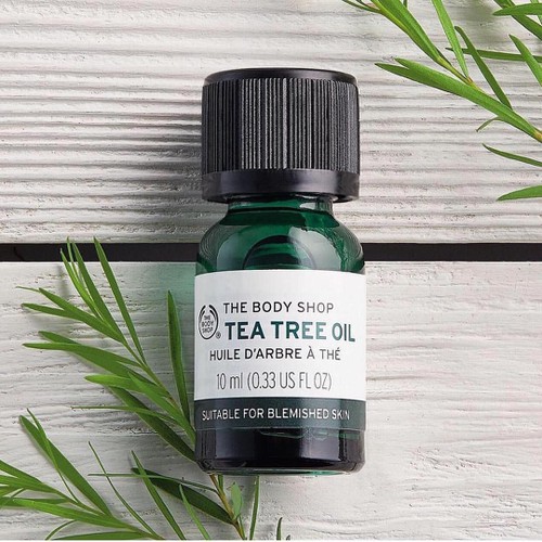 Dau-tram-tra (Tea Tree Oil)